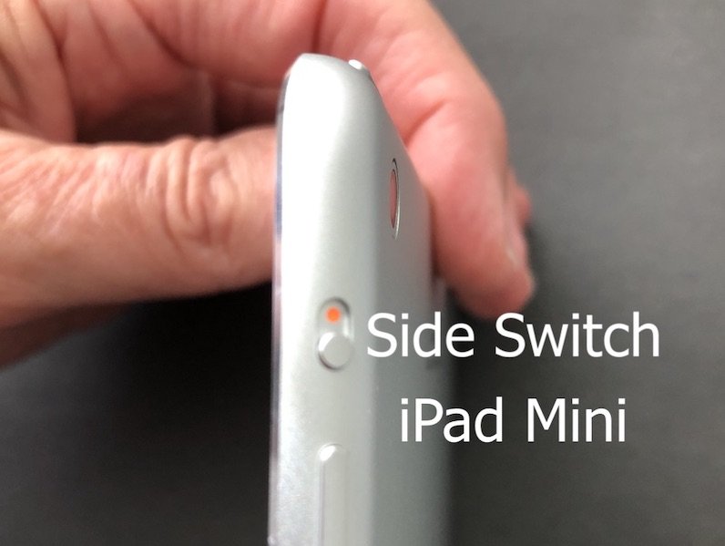 side switch ipad mini